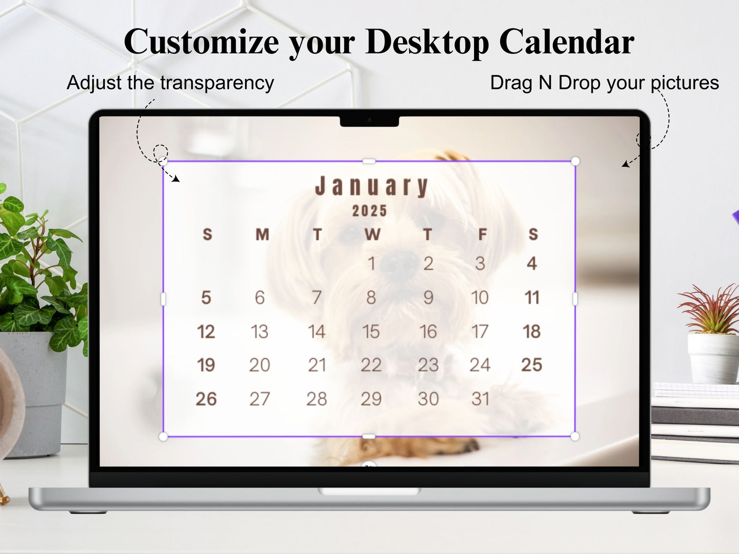 2025 Calendar Template Bundle,Photo Yearly Calendar,2025 Wall Calendar,Blank Calendar,Editable Calendar,Canva Editable Calendar,DIY Calendar